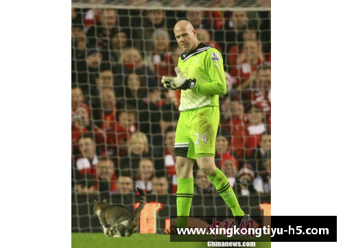 球员退赛:赛场上的不速之客 球员退赛:赛场上的不速之客