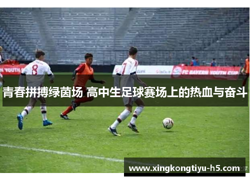 青春拼搏绿茵场 高中生足球赛场上的热血与奋斗