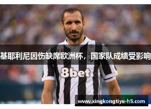 基耶利尼因伤缺席欧洲杯，国家队成绩受影响