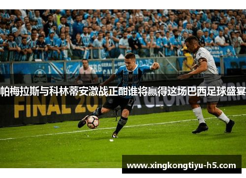 帕梅拉斯与科林蒂安激战正酣谁将赢得这场巴西足球盛宴